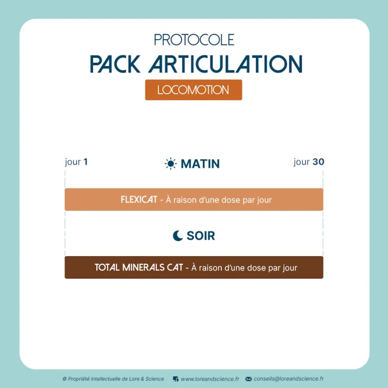 Articulation Pack - Joint support and motor skills for cats - Lore & Science